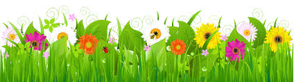 Image result for flowers clip art