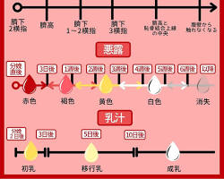 悪露の画像