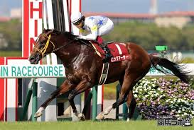 競馬ラボ - News update