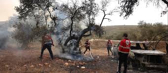 israelischer siedler
