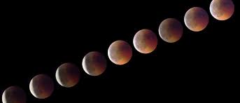 Spektrum der Wissenschaft - News update