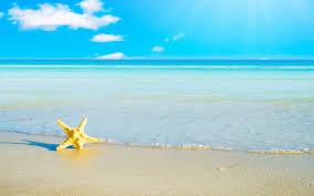 Image result for ocean