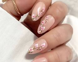 Hình ảnh về Cherry blossom nail design