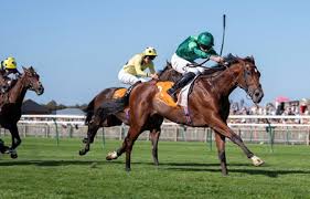 Aidan O'Brien Sweeps Euro Kentucky Derby Qualifiers - Paulick Report