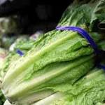  Romaine lettuce: why it's hard to keep it safe from E. coli and other bacteria