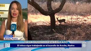 Canal Sur - News update