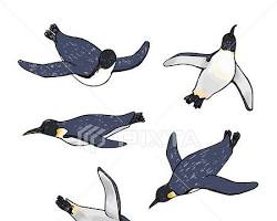 Image of penguin drawing in a swimming pose