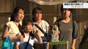 NHK - News update