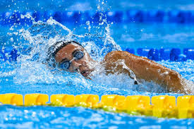 Federazione Italiana Nuoto - News update