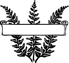 images?q=tbn:ANd9GcQlu6EoHWqfEoXyHWRIcHa