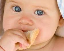 Gambar Roti tawar untuk bayi