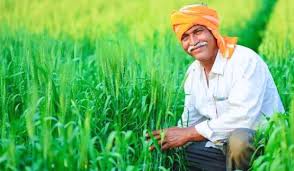जल्द आ सकती है पीएम किसान की अगली किस्त, इन 3 जरूरी कार्यों को तुरंत करें पूरा |PM Kisan Samman Nidhi Yojana