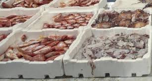 Image result for PESCA IN MARE