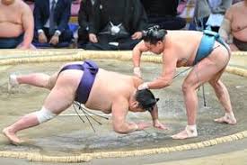 News source: スポーツ報知