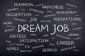 Image result for dream job