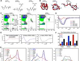 The Power of CLIP-Seq Analysis: Developing Ribosomal RNA Bait Oligonucleotides to Combat C9ORF72 ALS/FTD