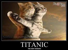 Image result for funny animal pictures