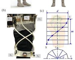 Image of Parallel Exoskeleton