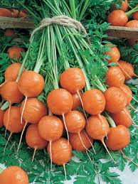 Image result for heirloom carrots