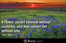 Flower Quotes - BrainyQuote via Relatably.com