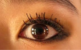 Image result for how to fix lashes