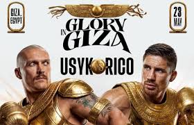 ріко верховен