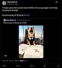 Dogecoin price set for 25% jump after Elon Musk’s new cryptic DOGE post
