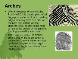 Résultat de recherche d'images pour "fingerprint types"
