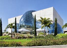 Tampa Turf and Artificial Grass in St. Petersburg, FL