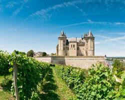 Imagem de Loire Valley Vineyards, France