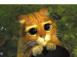 Résultat de recherche d'images pour "image d'animaux"