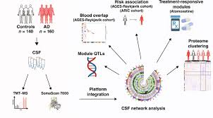 Utilizing Scanning Technology to Map Protein Markers in Cerebrospinal Fluid for Alzheimer's Disease Detection - 1