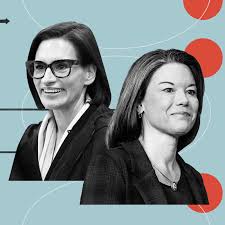 Opinion | Who Should Represent Minnesota?
