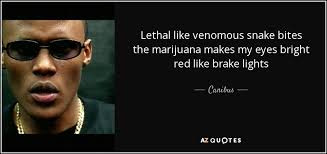 Canibus quote: Lethal like venomous snake bites the marijuana ... via Relatably.com