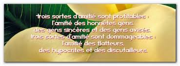 Résultat de recherche d'images pour "de raisons d'amitié"