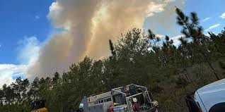 Lochloosa West Fire closes County Road 325 in Alachua County, forest service says