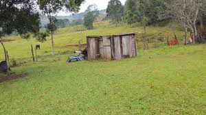 Idoso de 84 anos é resgatado no Paraná sob condições análogas à escravidão
