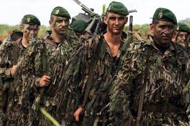 Image result for World Foreign Legions