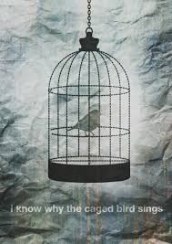 Image result for Images quotes on  caged birds singing