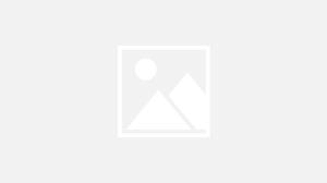 Neetu Yoshi Limited IPO Opens on June 27, 2025