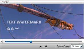 Résultat de recherche d'images pour "vedio watermaker"