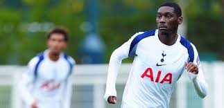 Tottenham Hotspur - News update