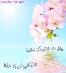 صورة