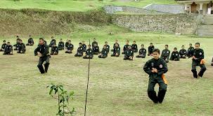 Image result for pencak silat