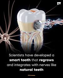 Revolutionizing Dentistry: The Smart Tooth That Grows Naturally into ...