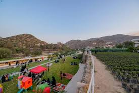 جريدة المدينة - News update
