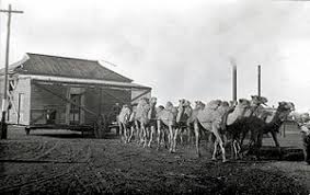 Image result for ancient TRAINS