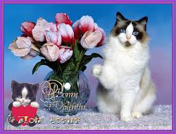 Résultat de recherche d'images pour "images gif st valentin"