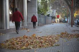 Diario El Sol Mendoza - News update