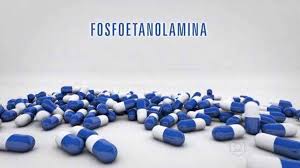 Resultado de imagem para imagem fosfoetanolamina